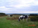 DSC00614.JPG
