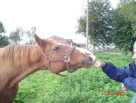 DSC00617.JPG