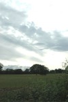 DSC_0088.JPG