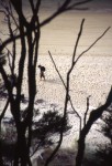 Abel Tasman 12.jpg