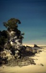Abel Tasman 3.jpg