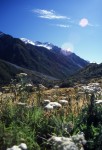 Alpine Scene 1.jpg