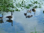 Highlight for Album: Philip Rundall's Pix
