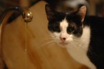 DSC_0013.JPG