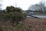 DSC_0055.JPG