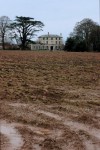 DSC_0065.JPG