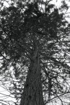 DSC_0067.JPG