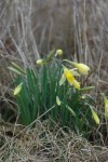 DSC_0079.JPG