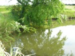 DSCN0037.JPG