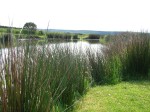 DSCN0038.JPG