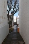 Alley.jpg