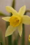 296_9655.JPG