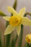 296_9659.JPG
