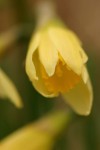 296_9660.JPG
