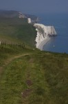Dorset Best - 05.jpg