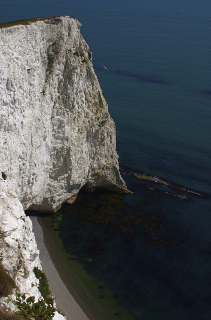 Dorset Best - 09.jpg